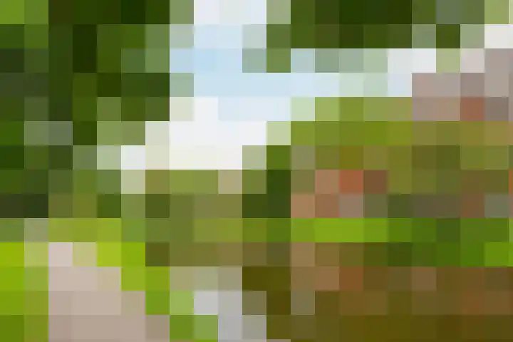 Statensingel 147 01R Rotterdam thumbnail 48