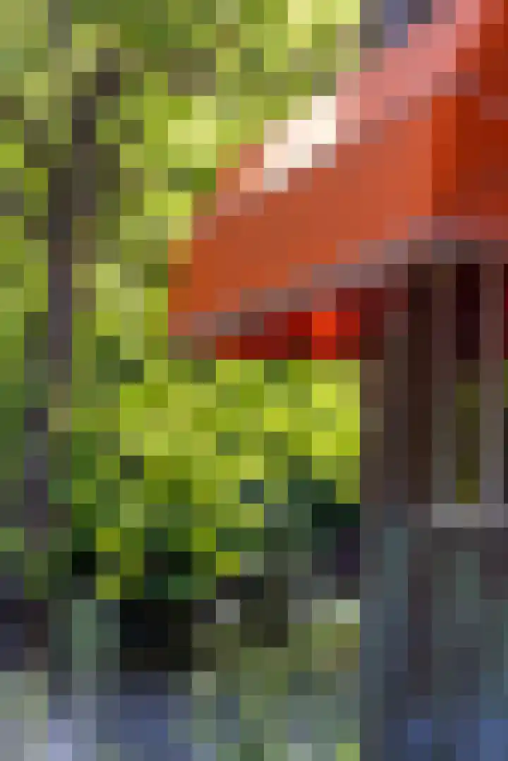 Statensingel 149 02R Rotterdam thumbnail 42