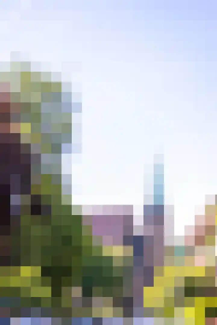 Statensingel 149 02R Rotterdam thumbnail 46