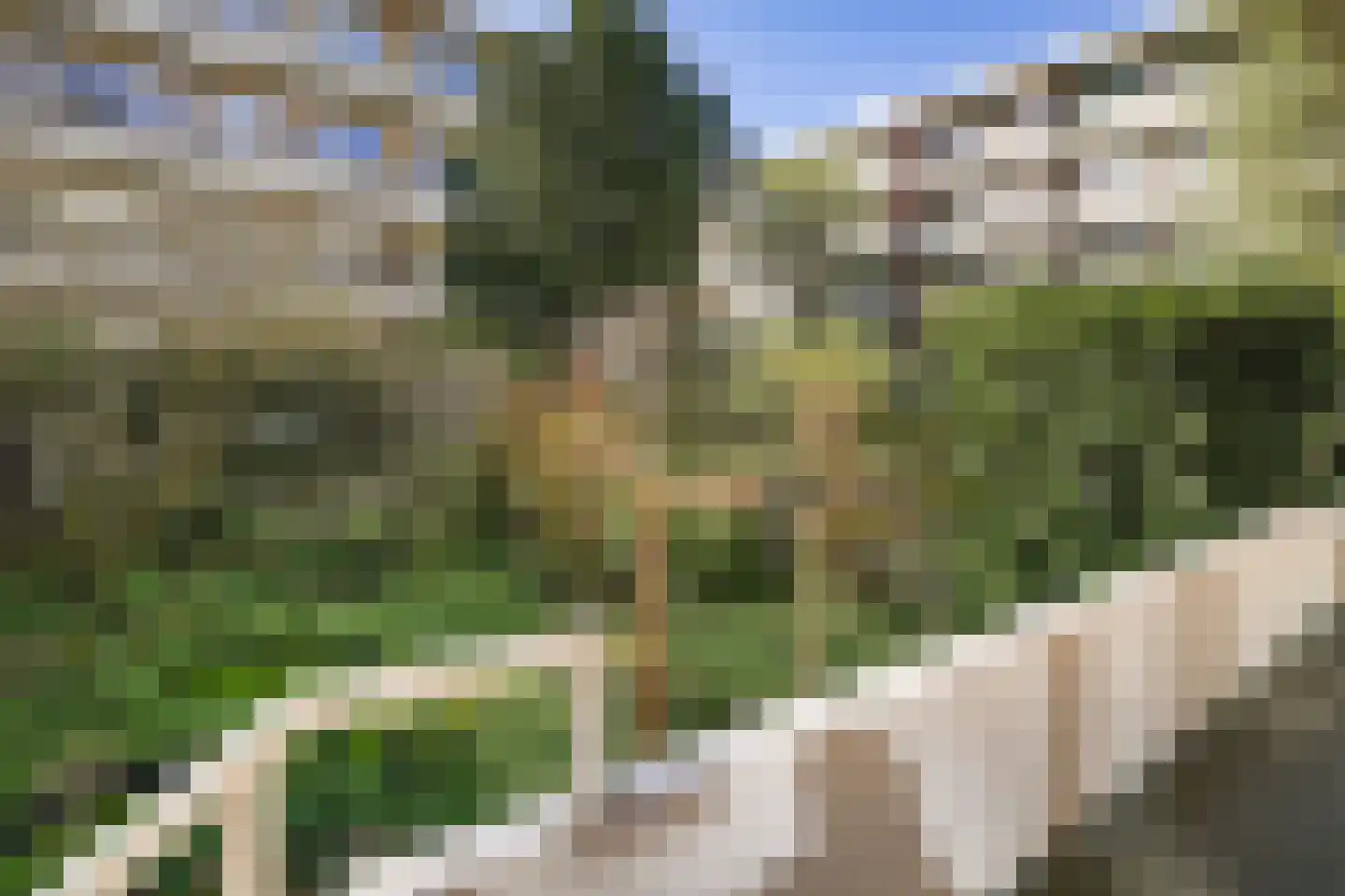 Statensingel 154 D Rotterdam thumbnail 17