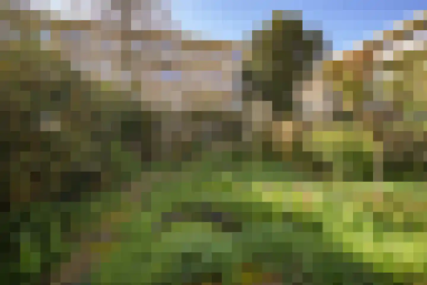 Statensingel 154 D Rotterdam thumbnail 18