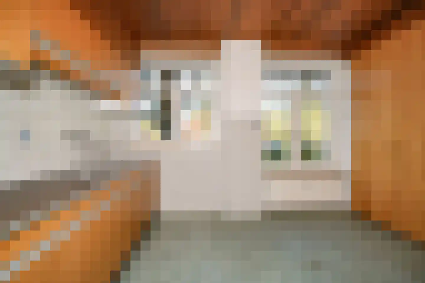 Statensingel 154 D Rotterdam thumbnail 5