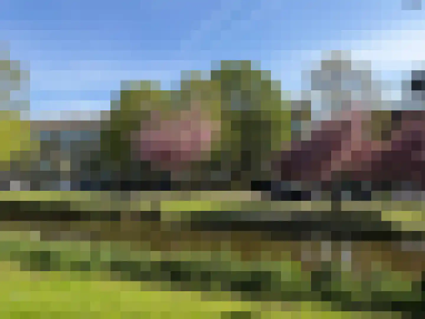 Statensingel 154 D Rotterdam thumbnail 8