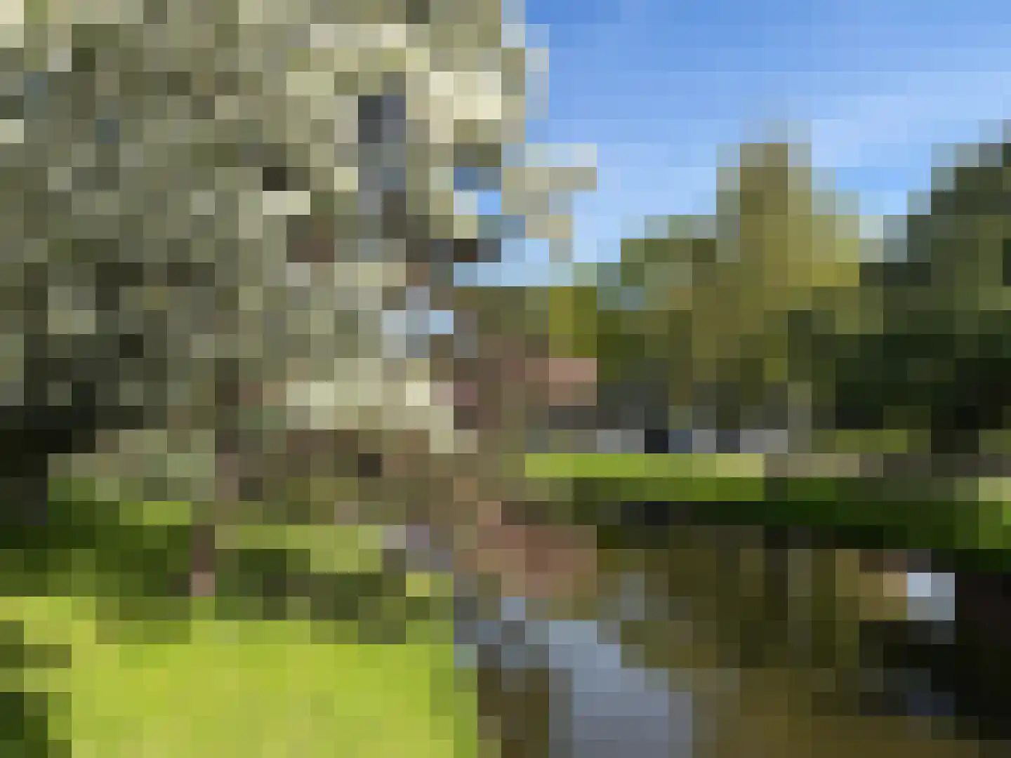 Statensingel 154 D Rotterdam thumbnail 9