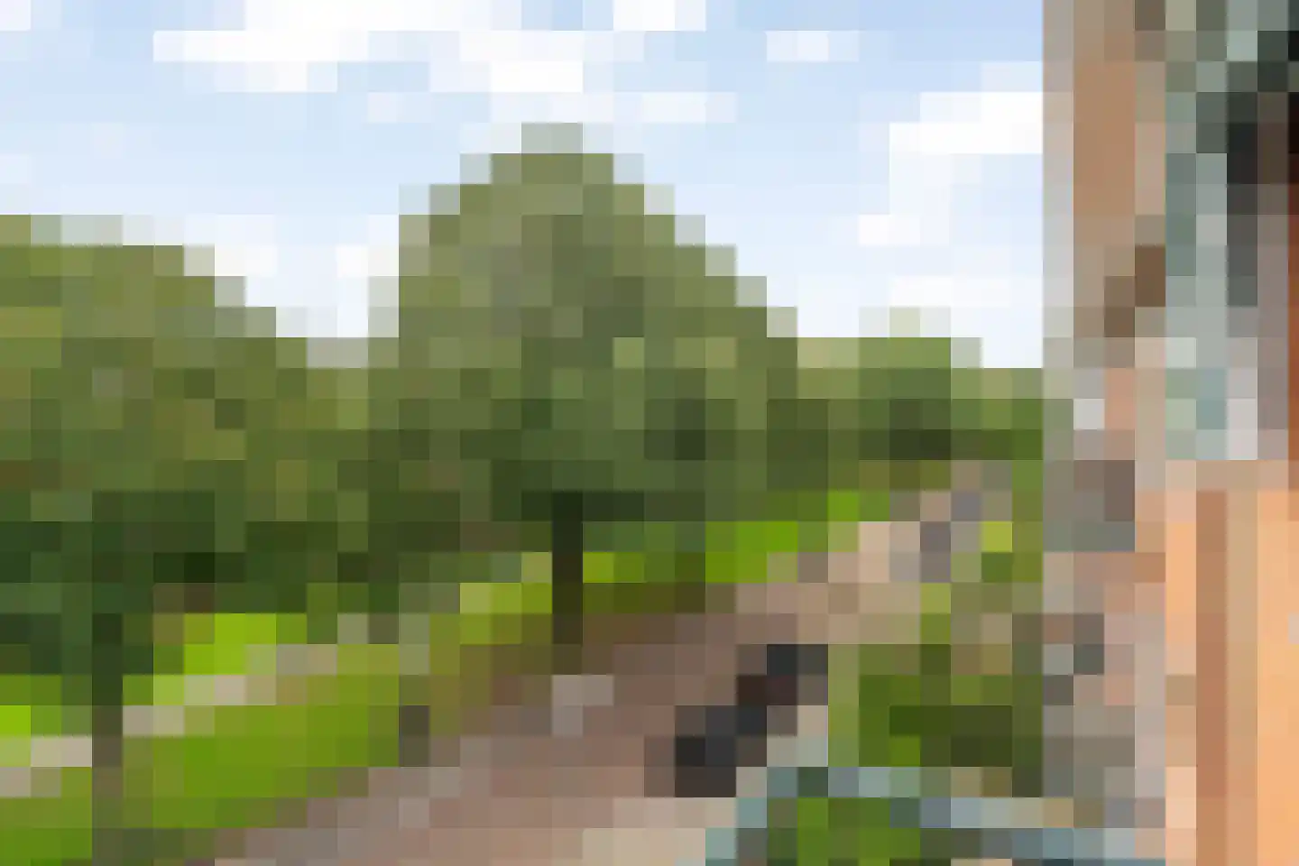 Statensingel 161 02R Rotterdam thumbnail 32