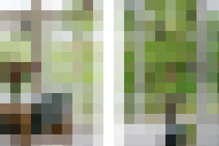 Statensingel 171 B Rotterdam thumbnail 13