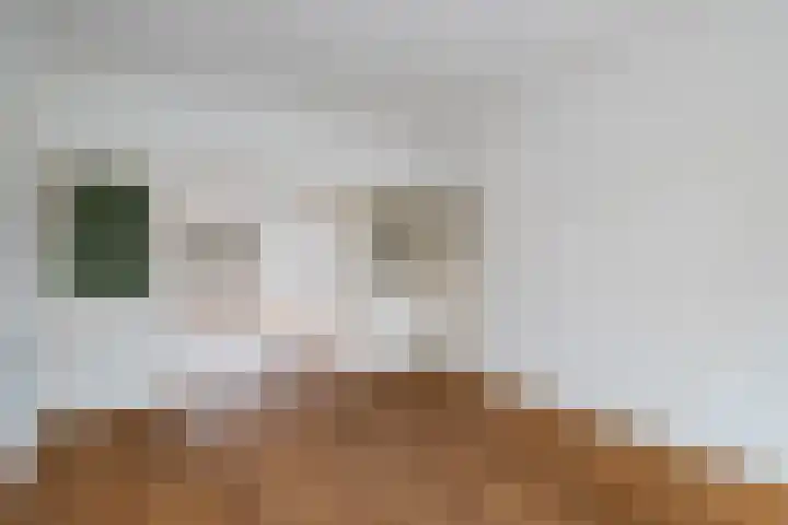 Statensingel 173 C in Rotterdam