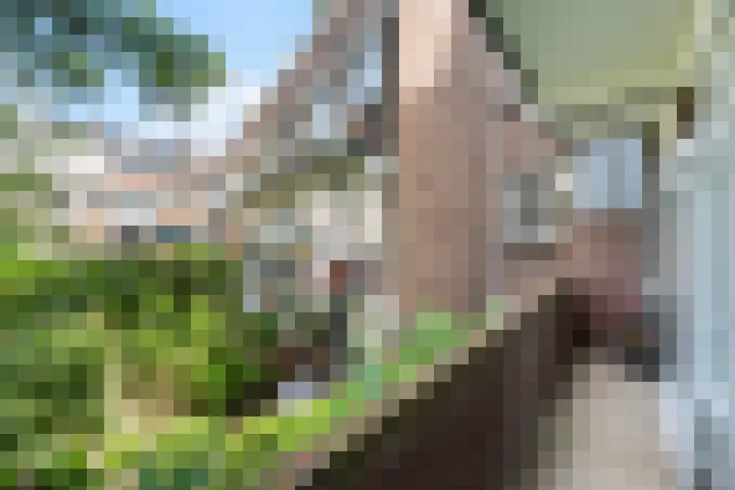 Statensingel 21 A 01 Rotterdam thumbnail 20