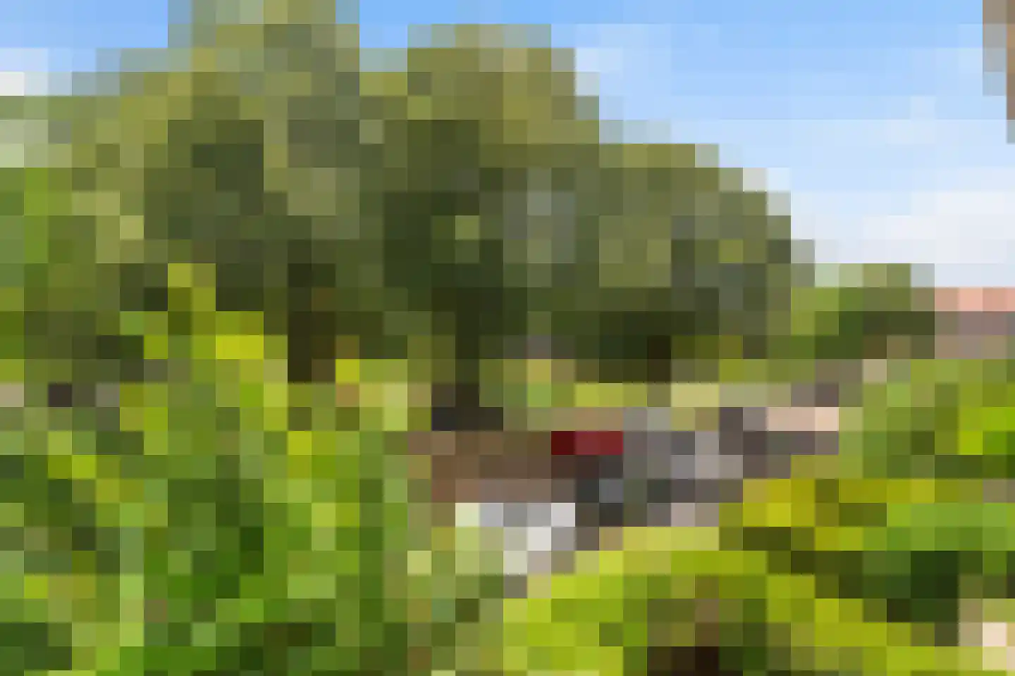 Statensingel 21 A 01 Rotterdam thumbnail 31