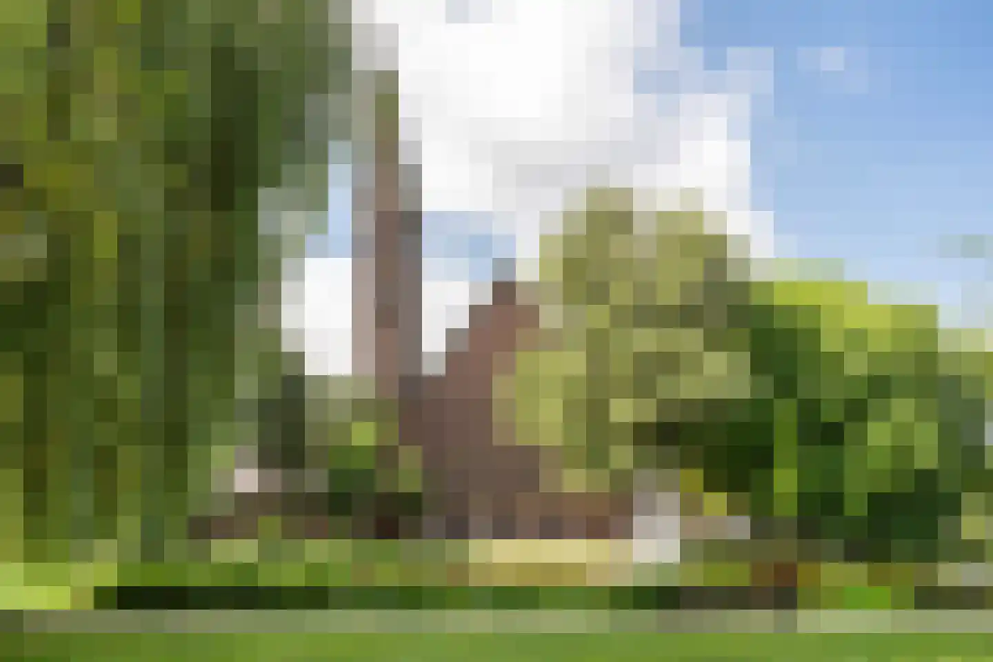 Statensingel 21 A 01 Rotterdam thumbnail 36