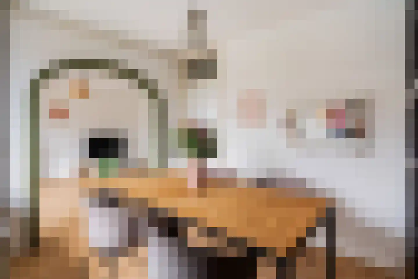 Statensingel 27 Gouda thumbnail 19