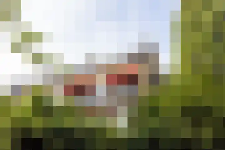 Statensingel 30 C in Rotterdam