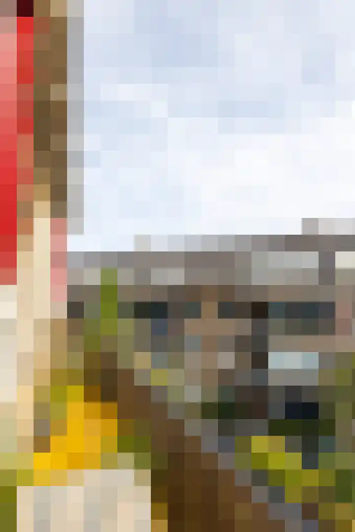 Statensingel 30 C Rotterdam thumbnail 22