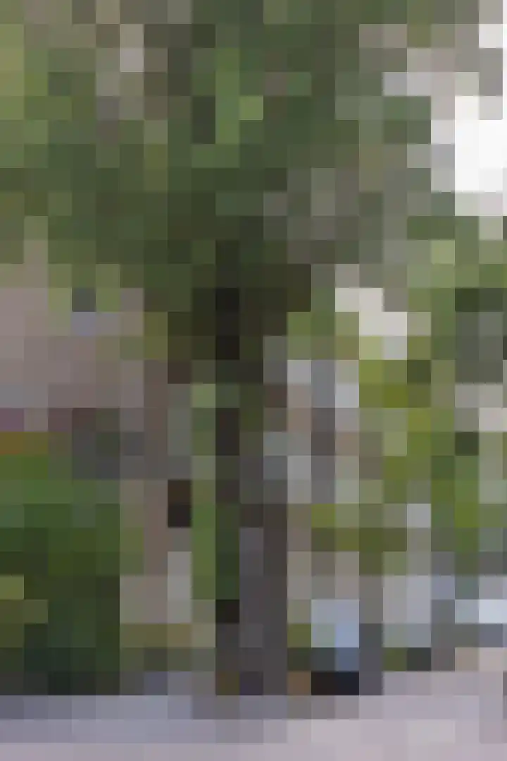 Statensingel 30 C Rotterdam thumbnail 35