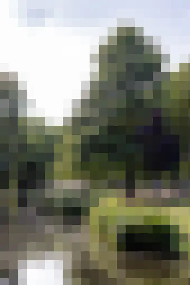 Statensingel 30 C Rotterdam thumbnail 36