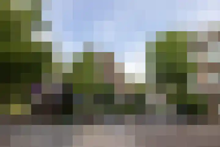 Statensingel 30 C Rotterdam thumbnail 37