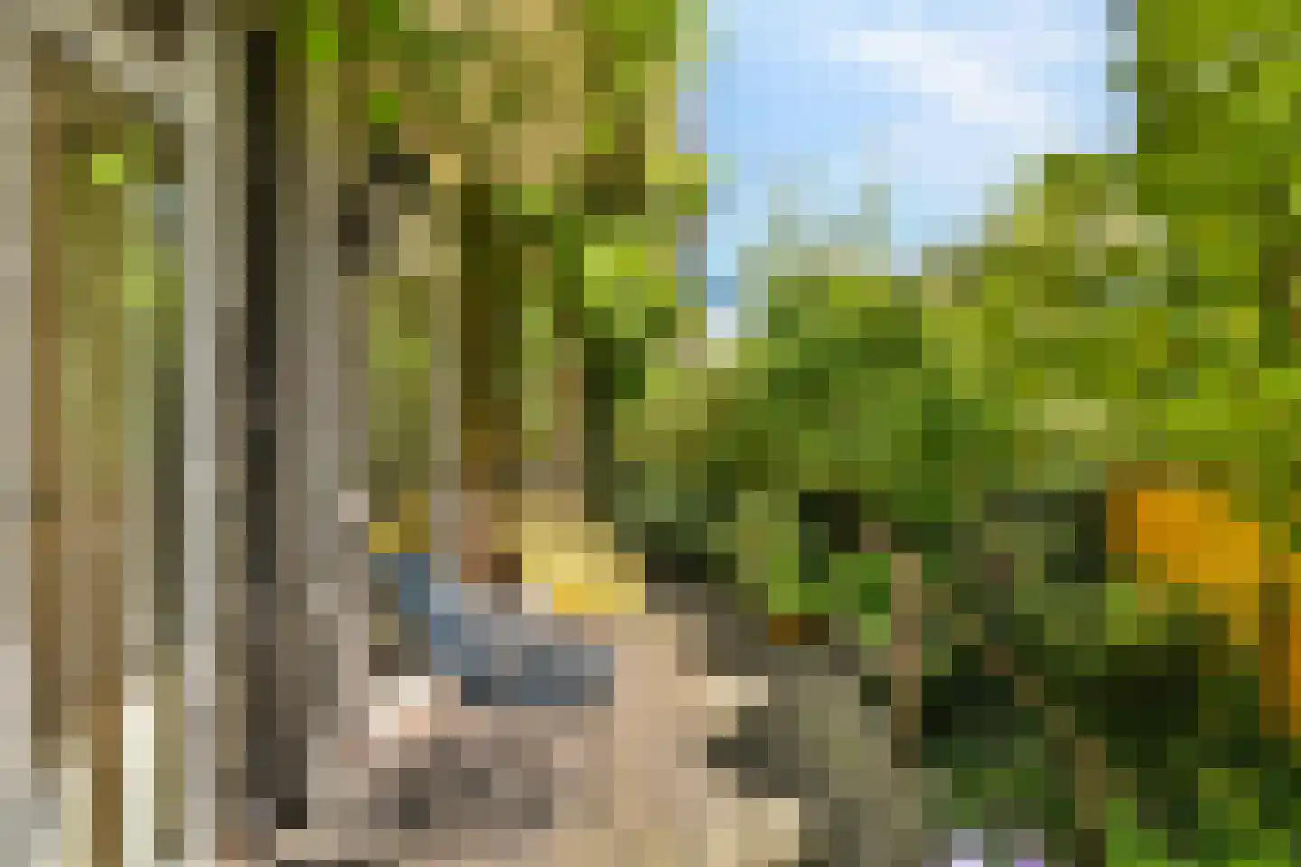 Statensingel 42 A Rotterdam thumbnail 19
