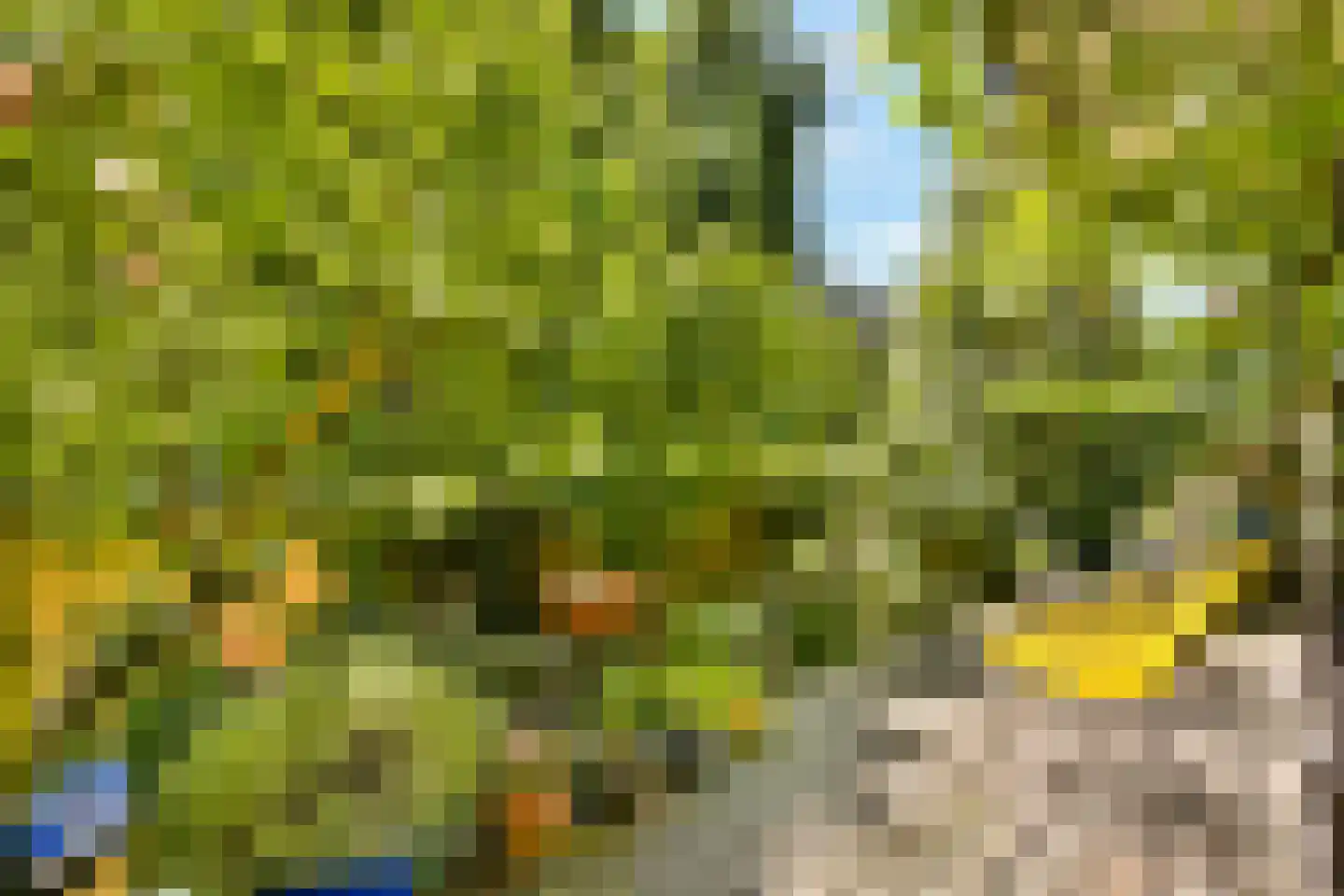 Statensingel 42 A Rotterdam thumbnail 21