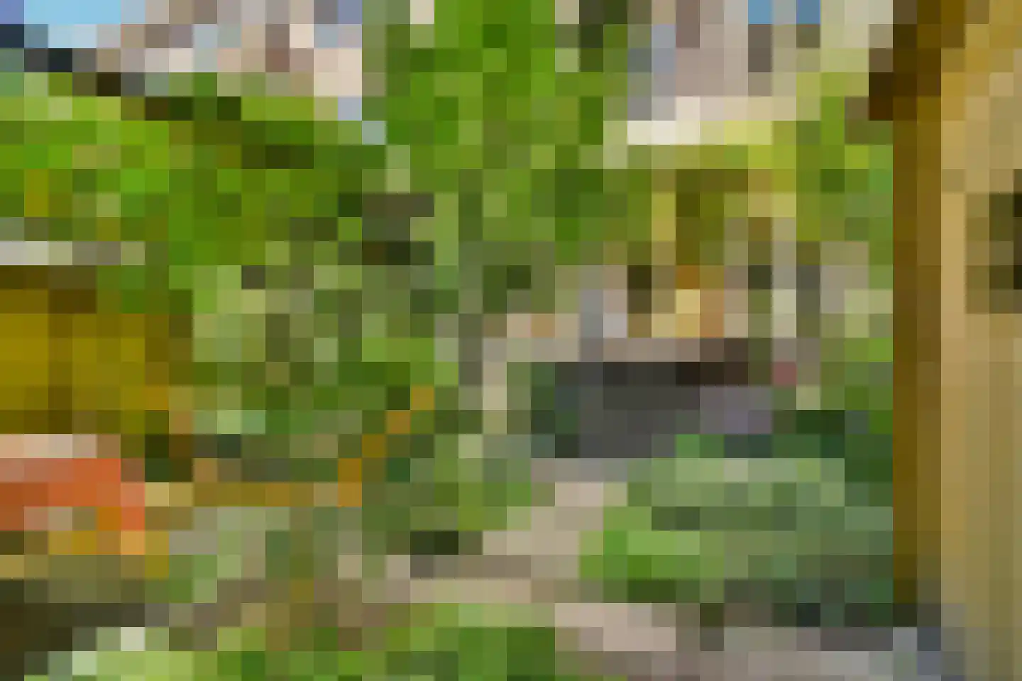Statensingel 42 A Rotterdam thumbnail 4