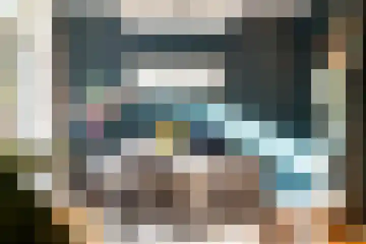 Statensingel 46 A Rotterdam thumbnail 16