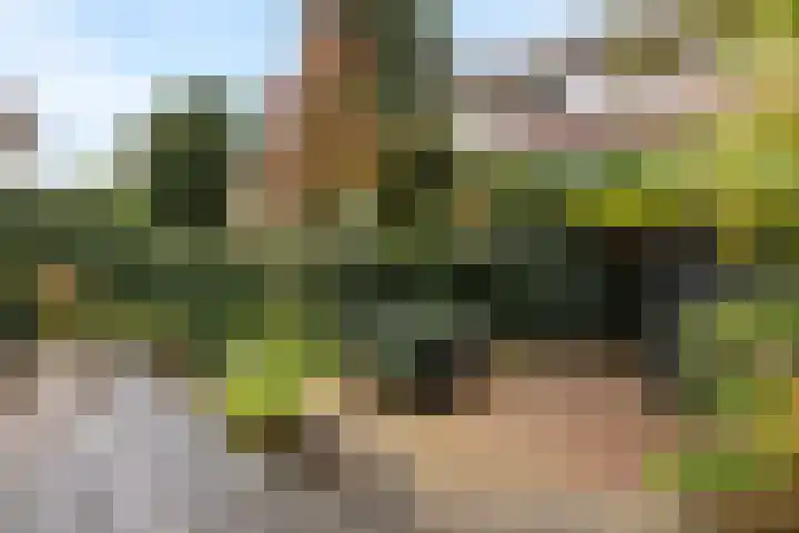 Statensingel 46 A Rotterdam thumbnail 39