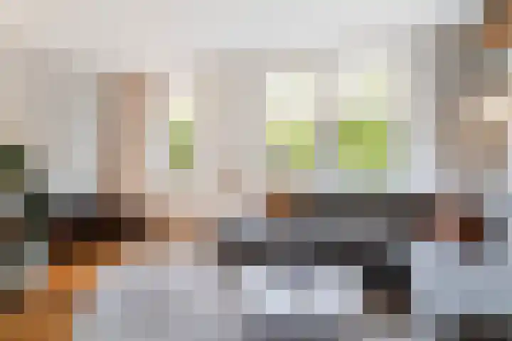 Statensingel 46 A Rotterdam thumbnail 8