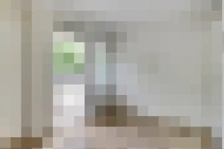 Statensingel 49 Gouda thumbnail 15