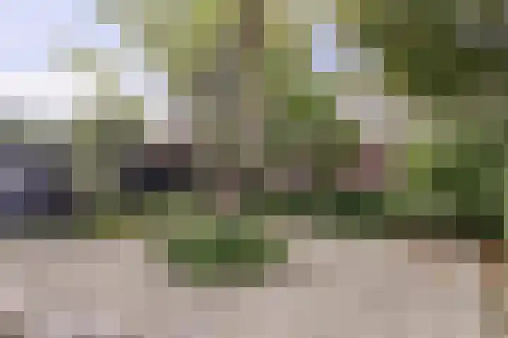 Statensingel 49 Gouda thumbnail 23