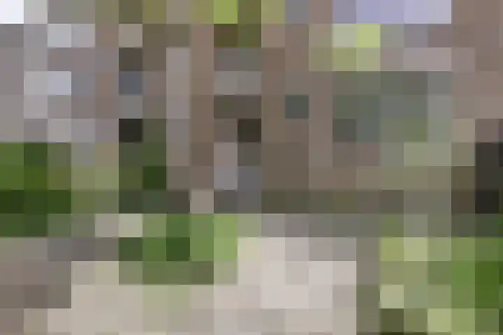 Statensingel 49 Gouda thumbnail 24