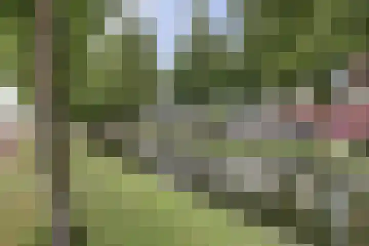 Statensingel 49 Gouda thumbnail 38