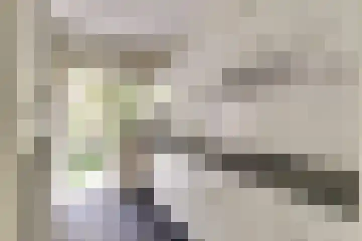 Statensingel 49 Gouda thumbnail 5