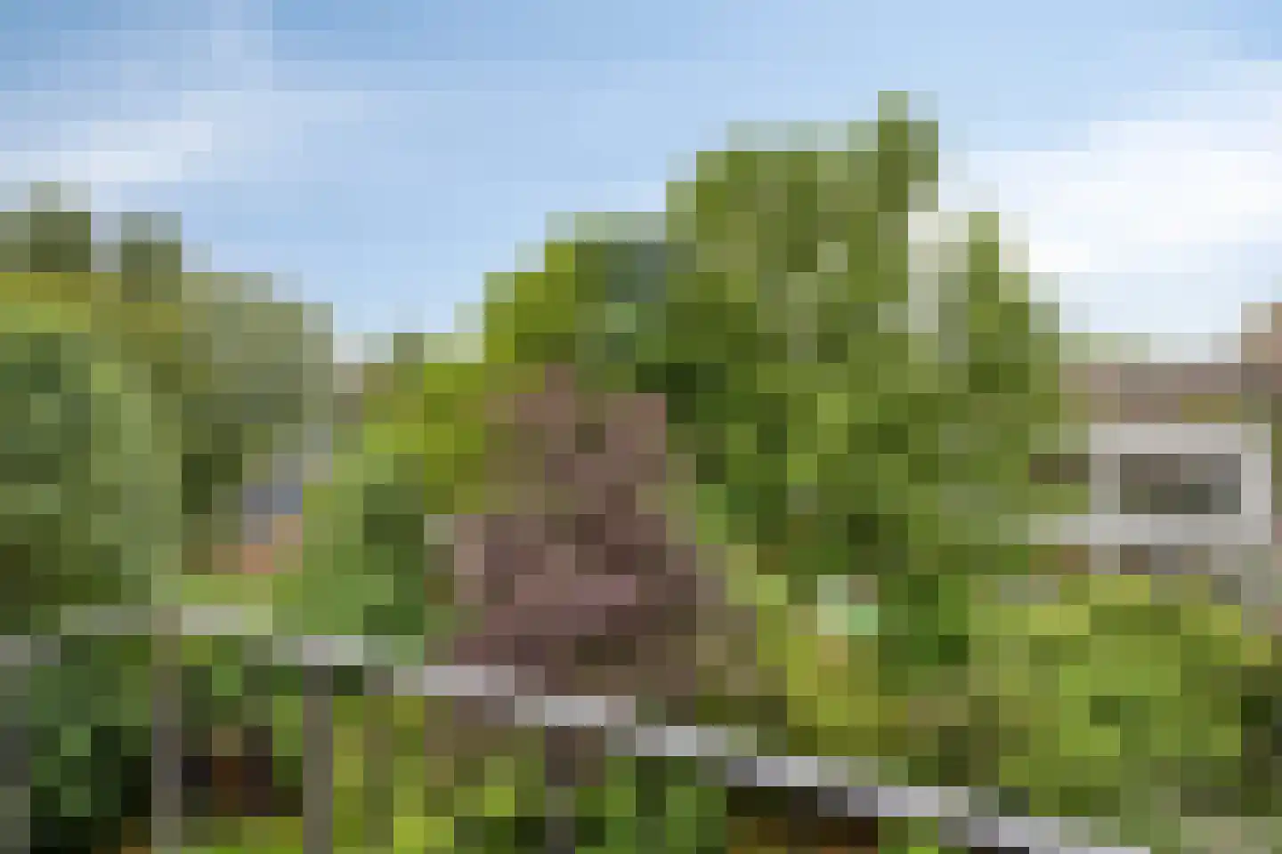 Statensingel 55 C Rotterdam thumbnail 27
