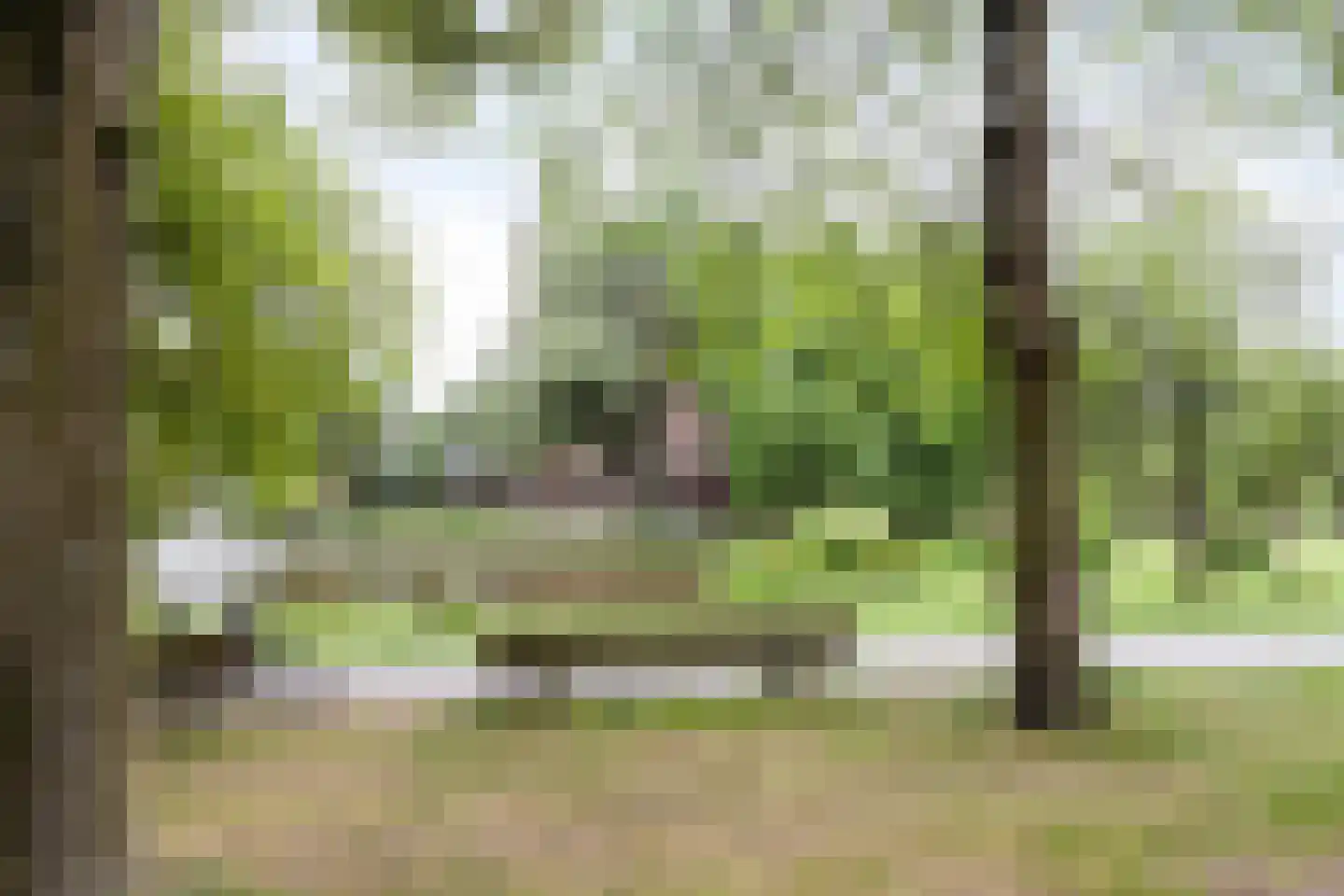 Statensingel 55 C Rotterdam thumbnail 41