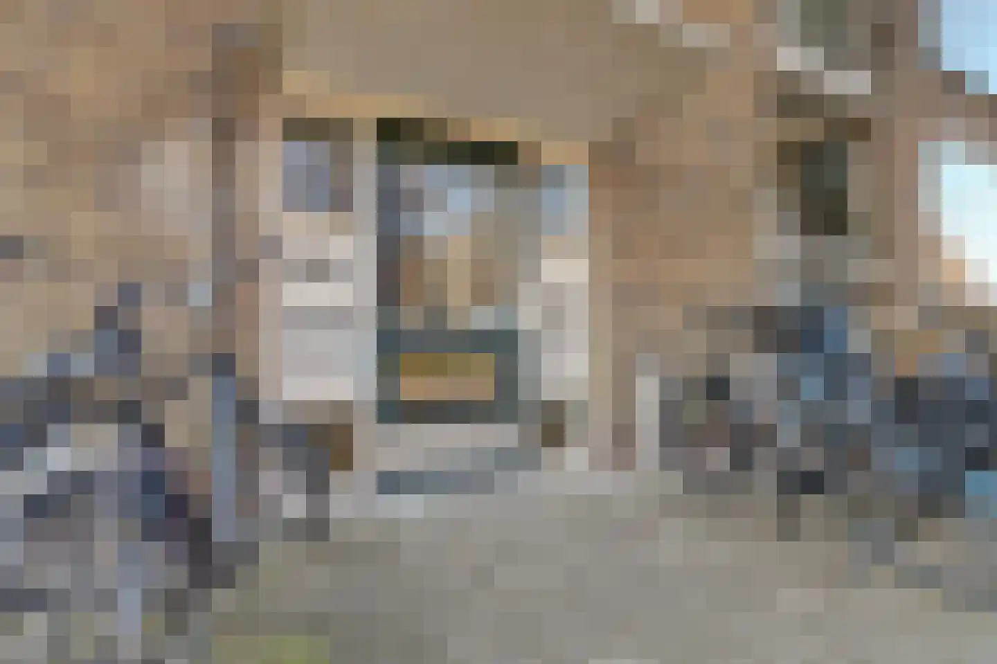 Statensingel 57 Gouda thumbnail 7