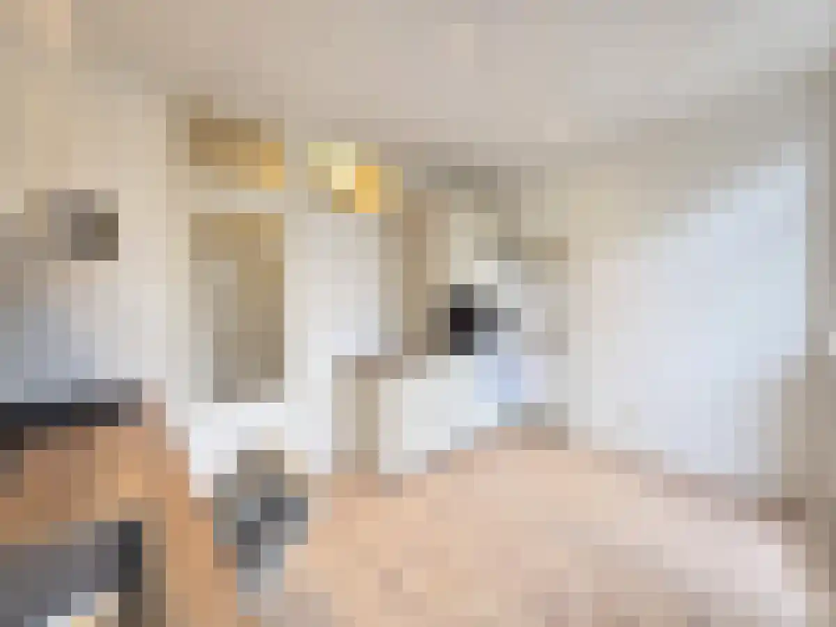 Statensingel 58 Rotterdam thumbnail 4