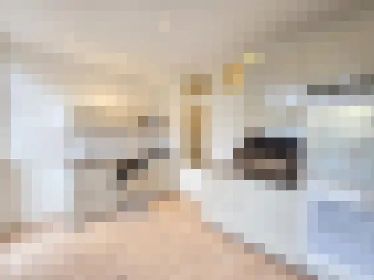 Statensingel 58 Rotterdam thumbnail 5