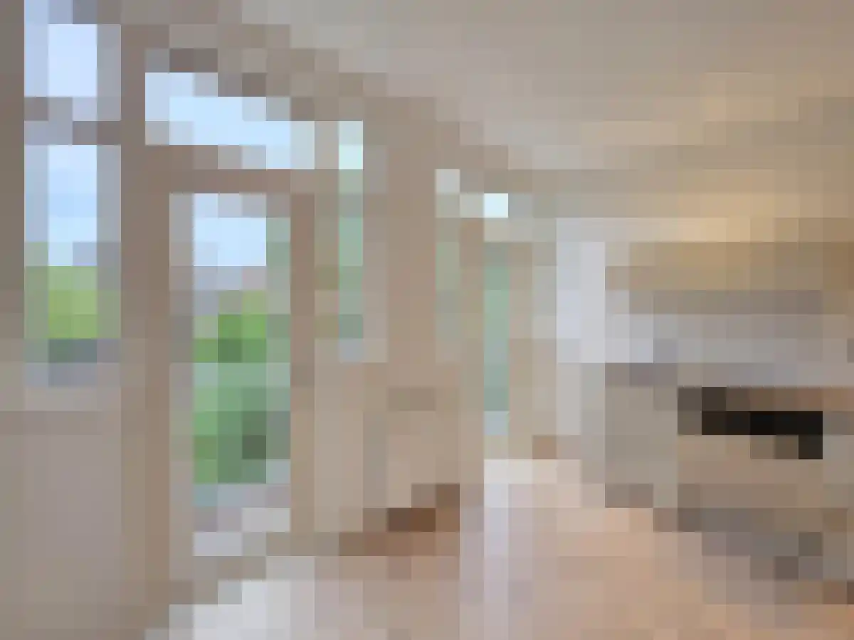 Statensingel 58 Rotterdam thumbnail 6