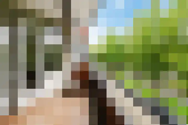 Statensingel 76 Gouda thumbnail 21