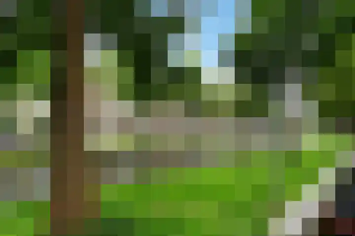 Statensingel 76 Gouda thumbnail 38