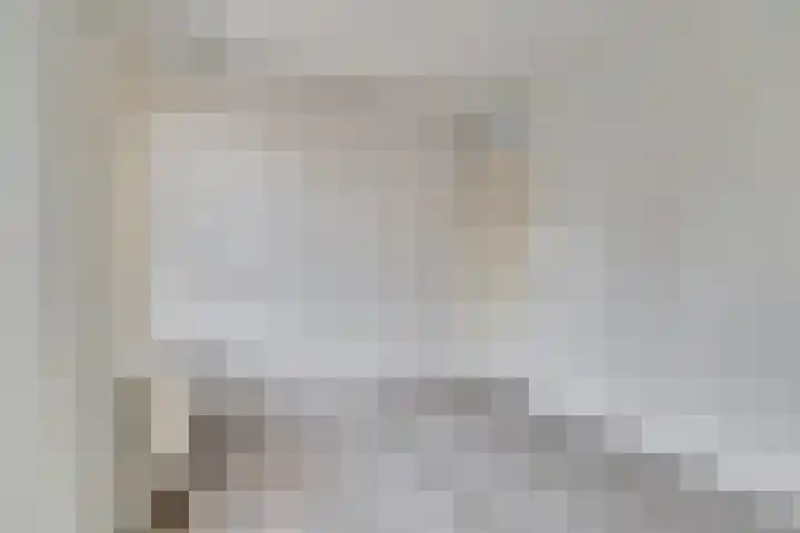 Statensingel 87 Gouda thumbnail 15