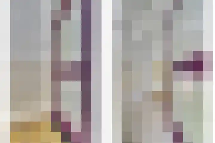 Statensingel 87 Gouda thumbnail 8