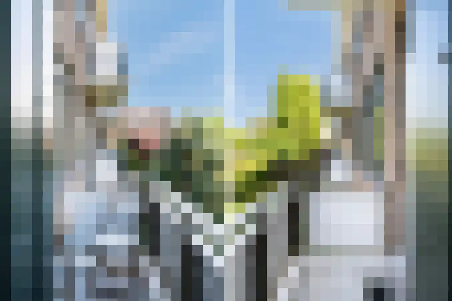 Statensingel 93 B Rotterdam thumbnail 14