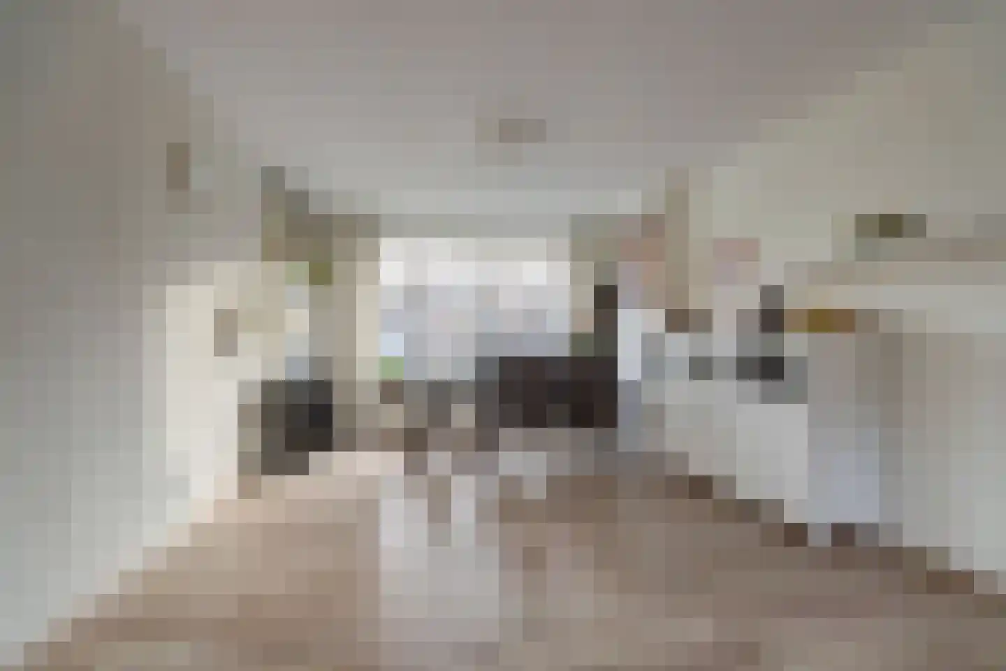 Statensingel 99 Gouda thumbnail 13