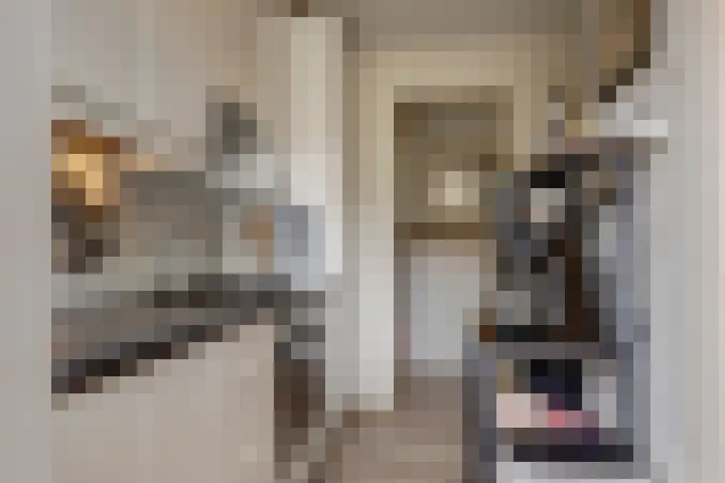 Statensingel 99 Gouda thumbnail 4