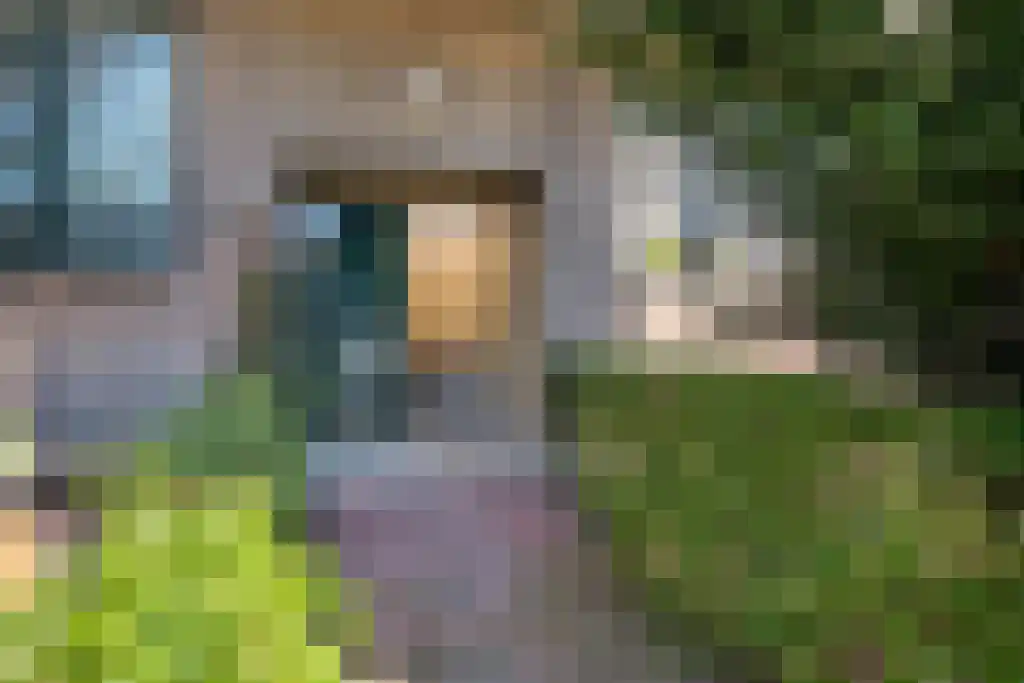 Statensingel 99 Rotterdam thumbnail 6
