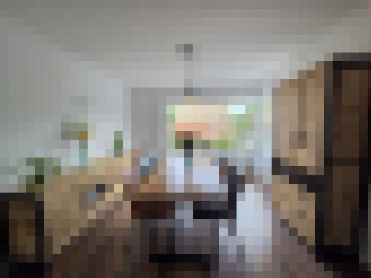Statenstraat 23 Sas van Gent thumbnail 10
