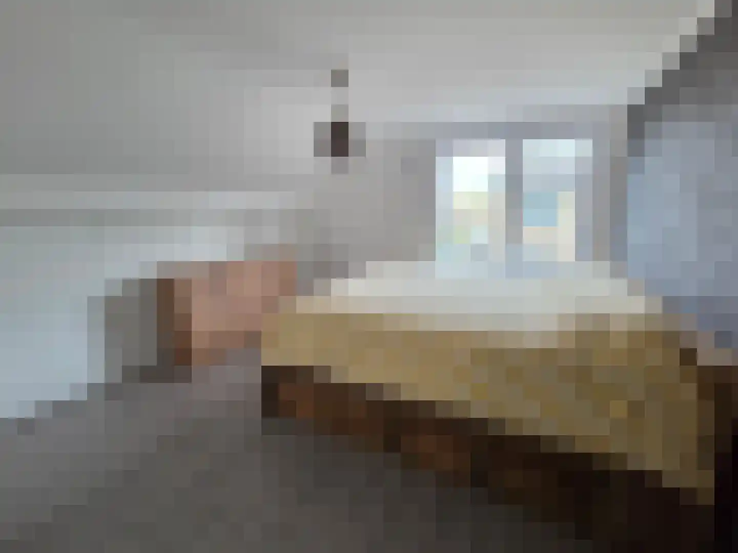 Statenstraat 23 Sas van Gent thumbnail 18