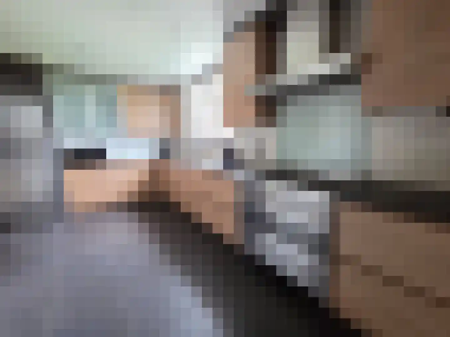 Statenstraat 23 Sas van Gent thumbnail 4