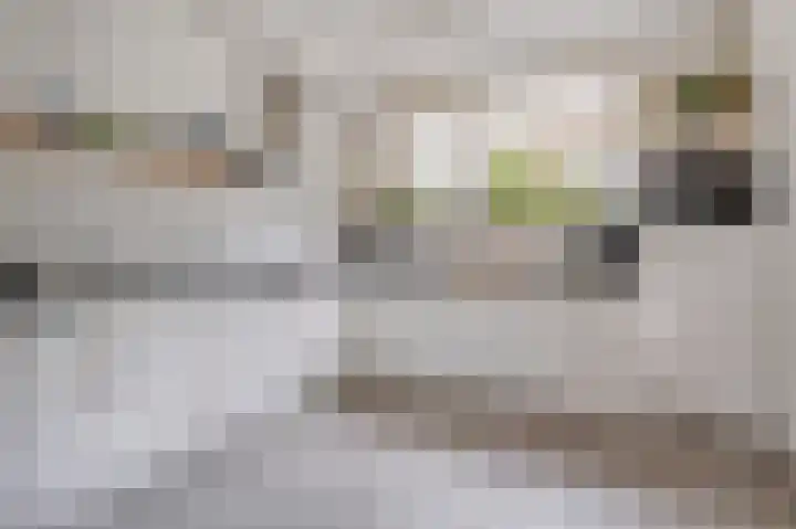 Statenstraat 31 Sas van Gent thumbnail 10