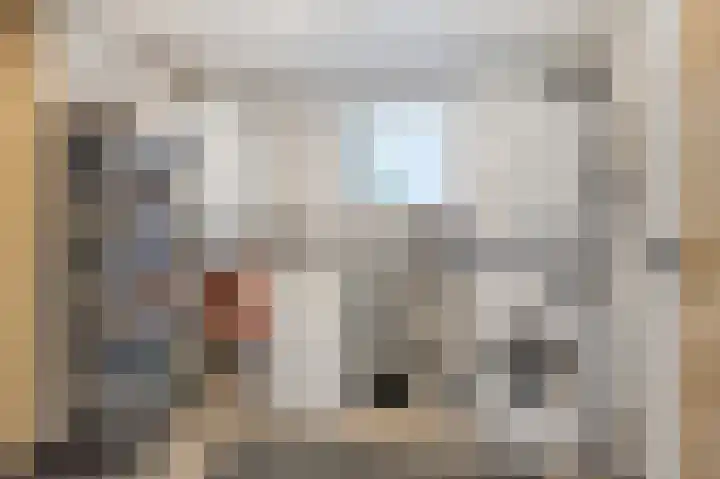 Statenstraat 31 Sas van Gent thumbnail 12